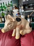 Islayschwein